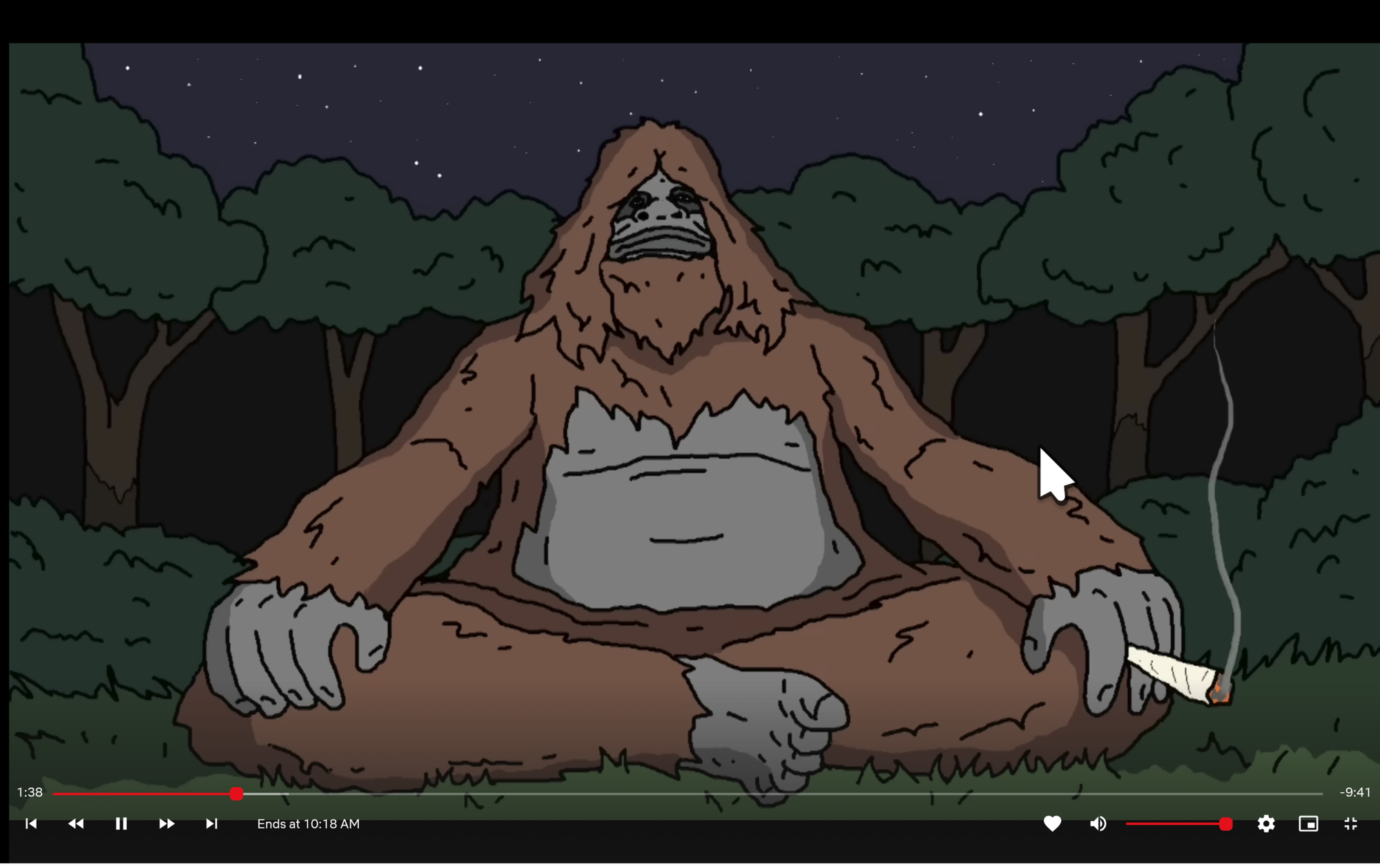 ARRFLIX playback — Sassy the Sasquatch